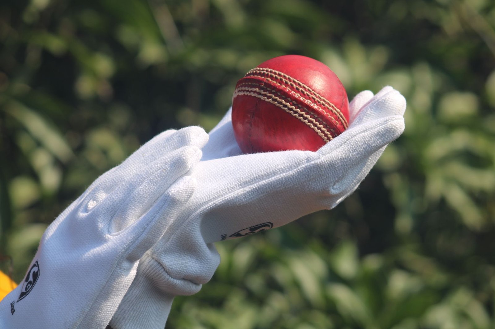 T20 Form England: Proven Strategies for Continued Success